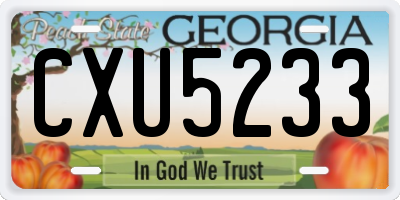 GA license plate CXU5233