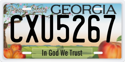 GA license plate CXU5267