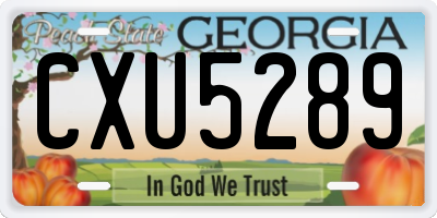 GA license plate CXU5289
