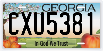 GA license plate CXU5381