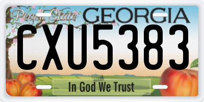 GA license plate CXU5383