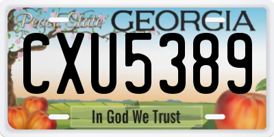 GA license plate CXU5389