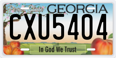 GA license plate CXU5404