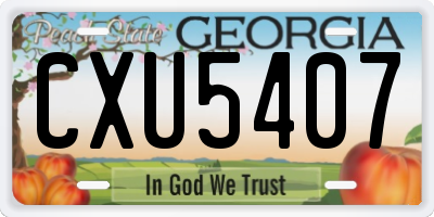 GA license plate CXU5407