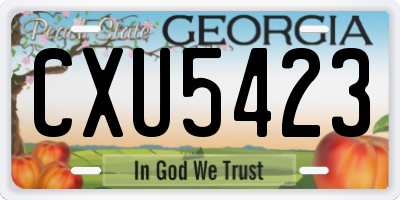 GA license plate CXU5423