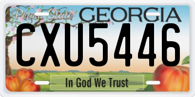 GA license plate CXU5446