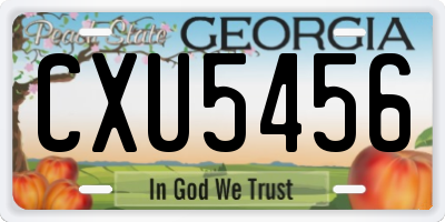 GA license plate CXU5456