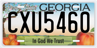 GA license plate CXU5460