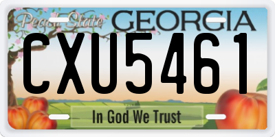 GA license plate CXU5461