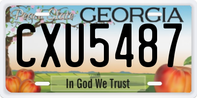 GA license plate CXU5487