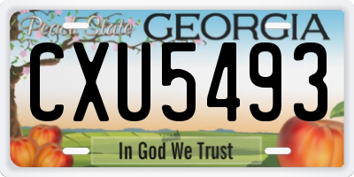 GA license plate CXU5493