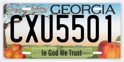 GA license plate CXU5501