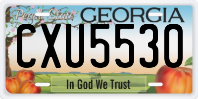GA license plate CXU5530