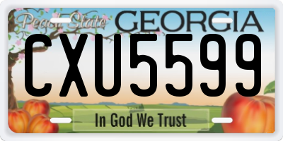 GA license plate CXU5599