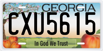GA license plate CXU5615