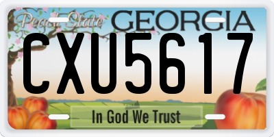 GA license plate CXU5617