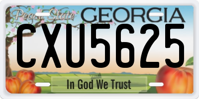 GA license plate CXU5625