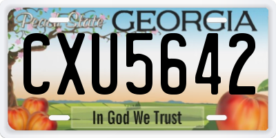 GA license plate CXU5642