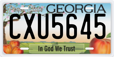 GA license plate CXU5645