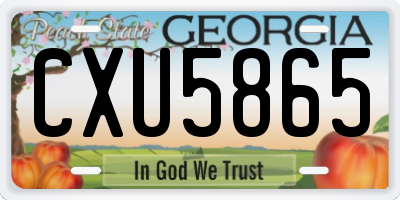 GA license plate CXU5865