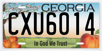 GA license plate CXU6014