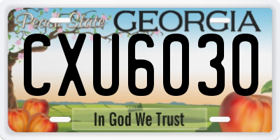 GA license plate CXU6030