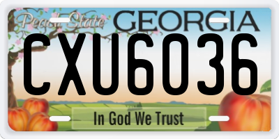 GA license plate CXU6036