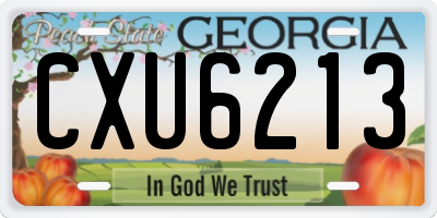 GA license plate CXU6213