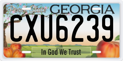 GA license plate CXU6239
