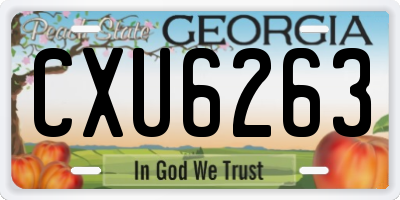 GA license plate CXU6263