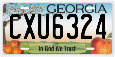 GA license plate CXU6324