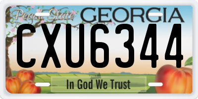 GA license plate CXU6344