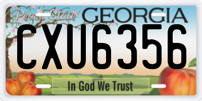 GA license plate CXU6356