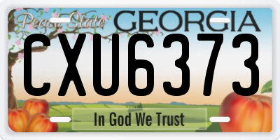 GA license plate CXU6373