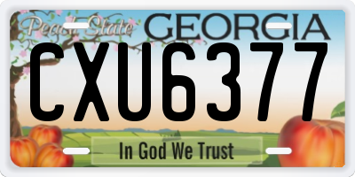 GA license plate CXU6377