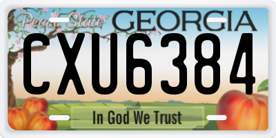 GA license plate CXU6384