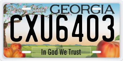 GA license plate CXU6403