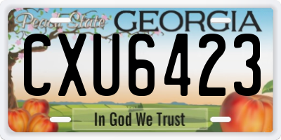 GA license plate CXU6423