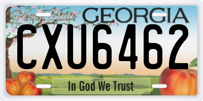 GA license plate CXU6462