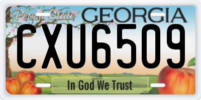 GA license plate CXU6509
