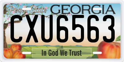 GA license plate CXU6563