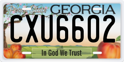 GA license plate CXU6602