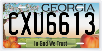 GA license plate CXU6613