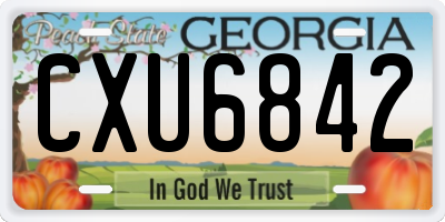 GA license plate CXU6842