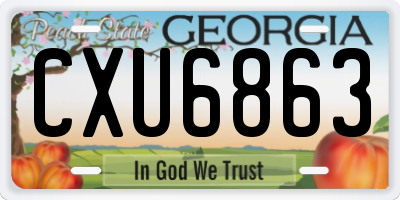 GA license plate CXU6863