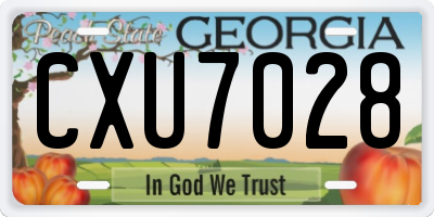 GA license plate CXU7028