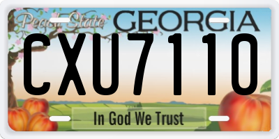 GA license plate CXU7110