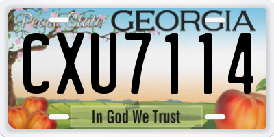 GA license plate CXU7114