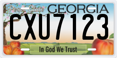 GA license plate CXU7123