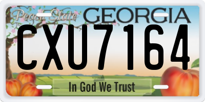 GA license plate CXU7164
